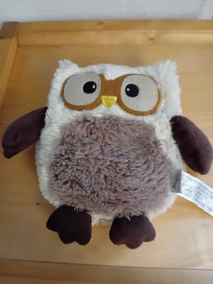 Photo of free Owl Heatable Wheat Bag (Teddington TW11) #1