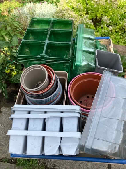 Photo of free Plant pots (Woolton L25) #1