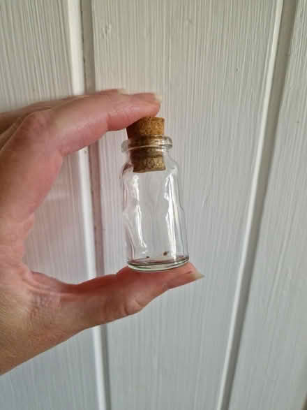Photo of free 7 little glass bottles with corks (Woking GU22 9) #2