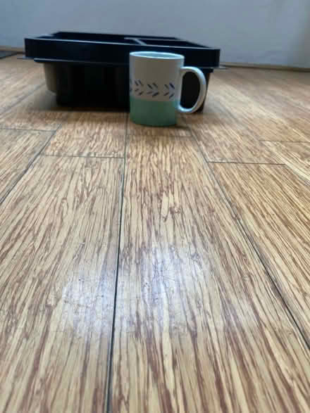 Photo of free Firm plastic tray, clean (St Just TR19) #1