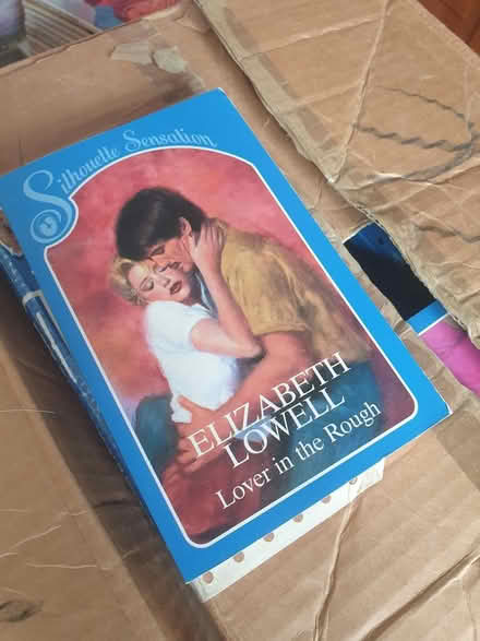 Photo of free Vintage romance books (Garston, WD25) #3
