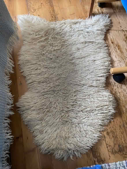 Photo of free Sheepskin rug (St Albans AL3) #1