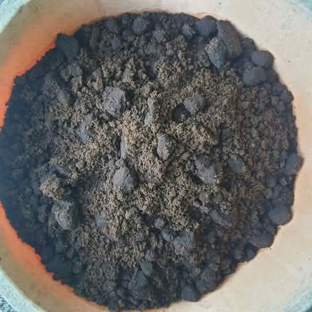 Photo of free coffee grounds (Northop Hall CH7) #1