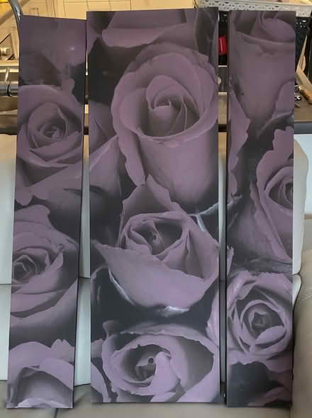 Photo of free Purple roses canvas tryptich (Brockworth) #1