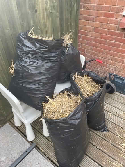 Photo of free Hay-Straw (Broadcylst EX5) #1