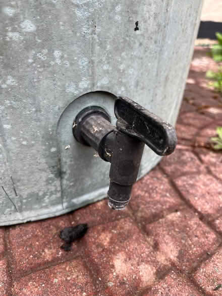 Photo of free Water butt with tap, no lid (Clungunford SY7) #1