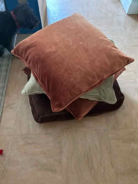Photo of free Large feather sofa cushions (New Malden KT3) #1