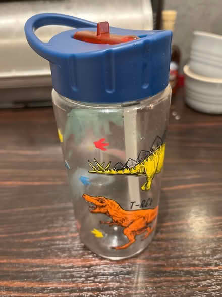Photo of free Dinosaur water bottle (CH42) #2