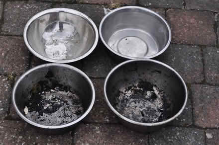 Photo of free Four Stainless Steel Dog Bowls (TN31) #1