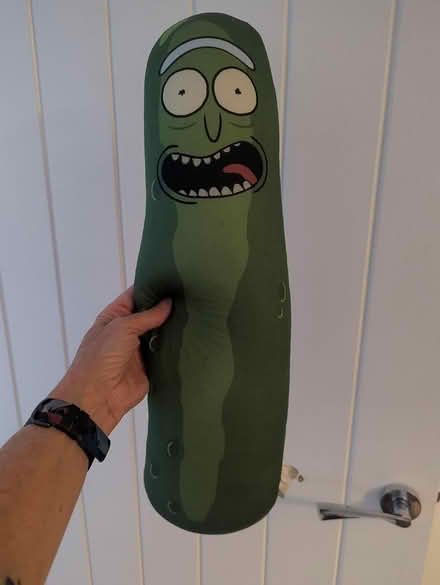 Photo of free Pickle Rick (Ingol PR2) #2