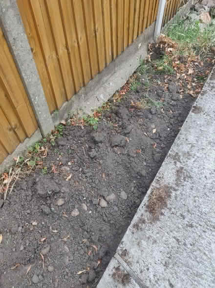 Photo of free Top soil (Wollaton Park NG8) #3