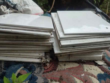 Photo of free White tiles (Shooters hill) #4