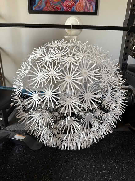 Photo of free Ceiling light (Paradise hills) #1