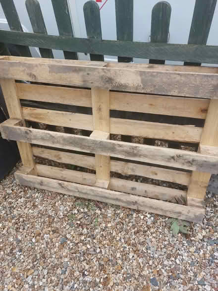 Photo of free Pallet (MK43) #1