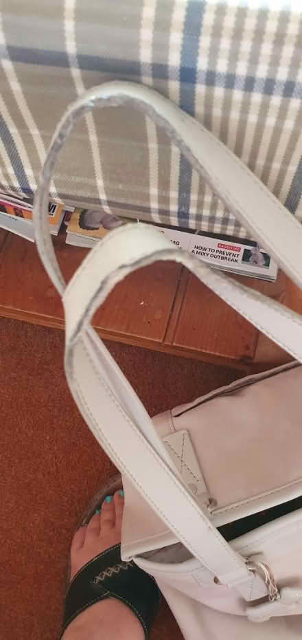 Photo of free Radley handbag (Godalming) #2