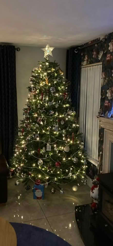 Photo of free Christmas tree (Rathnure) #1