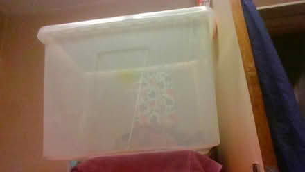 Photo of free 80 litre plastic tun (BA2) #2