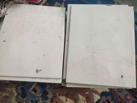 Photo of free White tiles (Shooters hill) #2