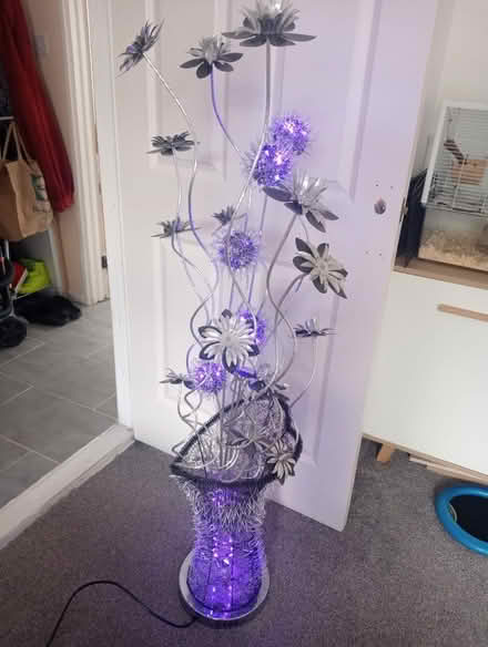 Photo of free Decorative lamp (Leicester LE4) #2