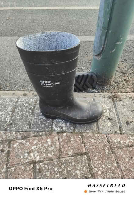 Photo of free Size 8 wellingtons (Balsall Common CV7) #1