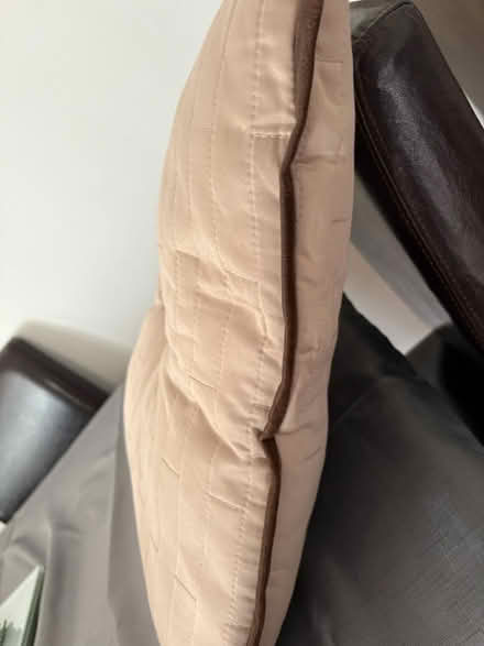 Photo of free large cushion (NN3 Meadowfields) #4