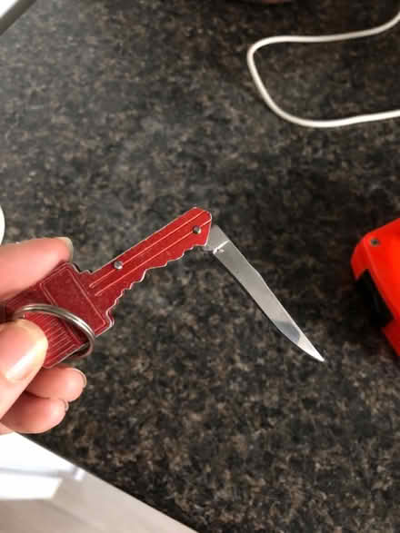 Photo of free Key chain (Leslieville) #2