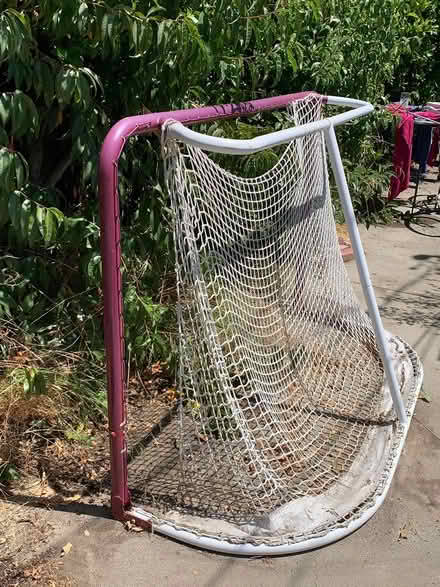 Photo of free Street hockety bet (San Jose West) #1