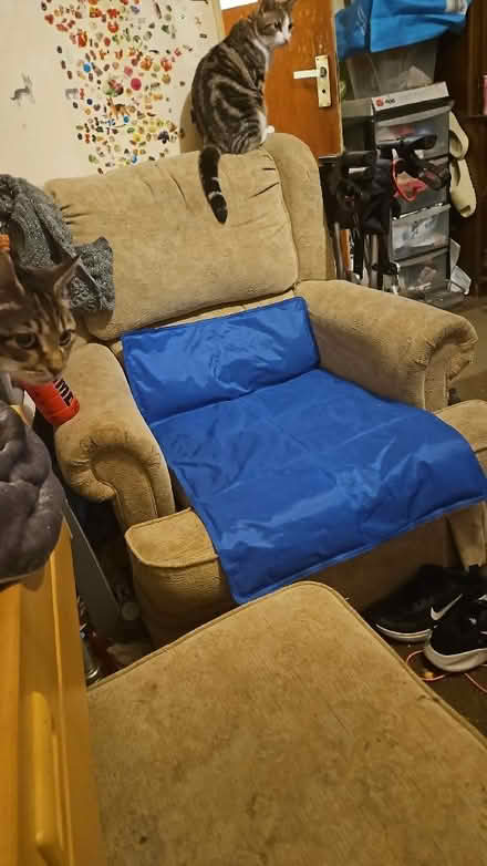 Photo of free Beige Armchair (Paston) #2
