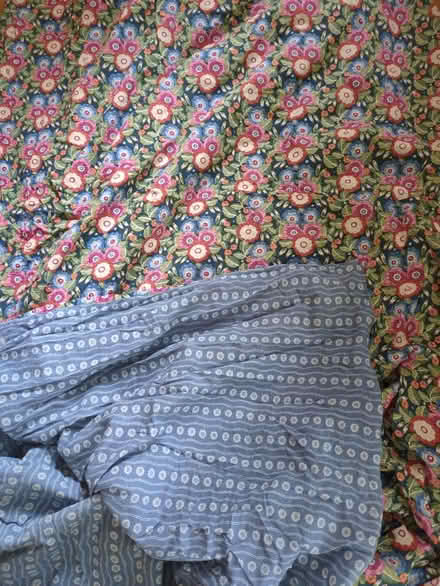 Photo of free Super King duvet cover (Caversham RG4) #1