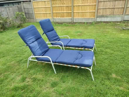 Photo of free Sun loungers x 2 (East Grinstead RH19) #1