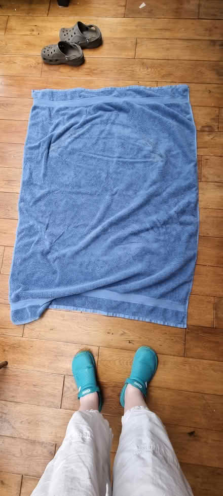 Photo of free Large bath towel for dog etc (Ilford) #1