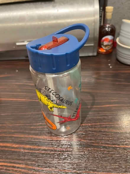 Photo of free Dinosaur water bottle (CH42) #1