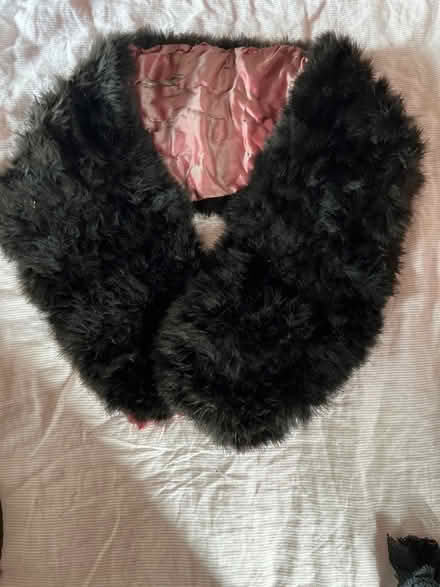 Photo of free Very old antique feather stole (Kings Heath B13) #1