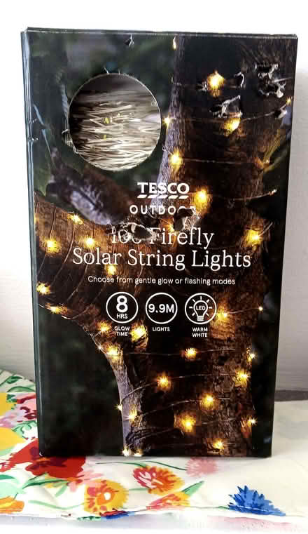 Photo of free Outdoors solar string lights (Bellevue EH7) #1