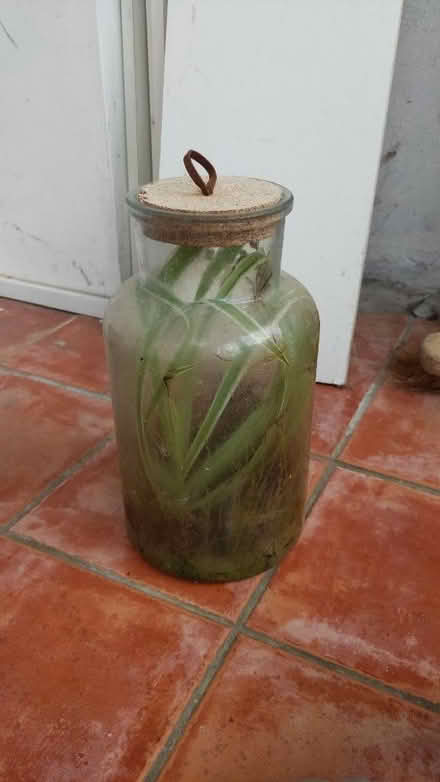 Photo of free Terrarium (Donnington Bridge OX4) #1