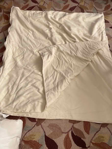 Photo of free King size comforter (Britannia) #4