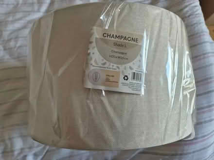 Photo of free Champagne Light Shade, Large (Morecambe LA4) #3