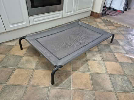 Photo of free Raised dog bed (Presteigne LD8) #1