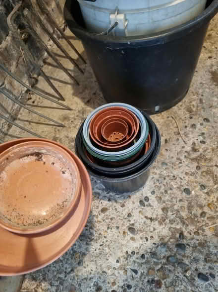 Photo of free Buckets & garden pots (Petts wood BR2) #3