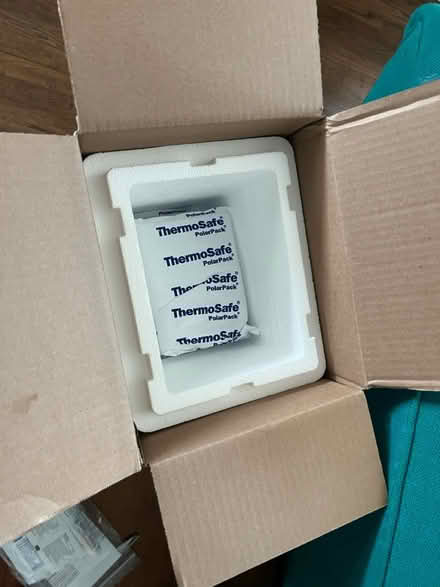 Photo of free 2 Styrofoam cooler/reusable icepack (Hawthorne) #1