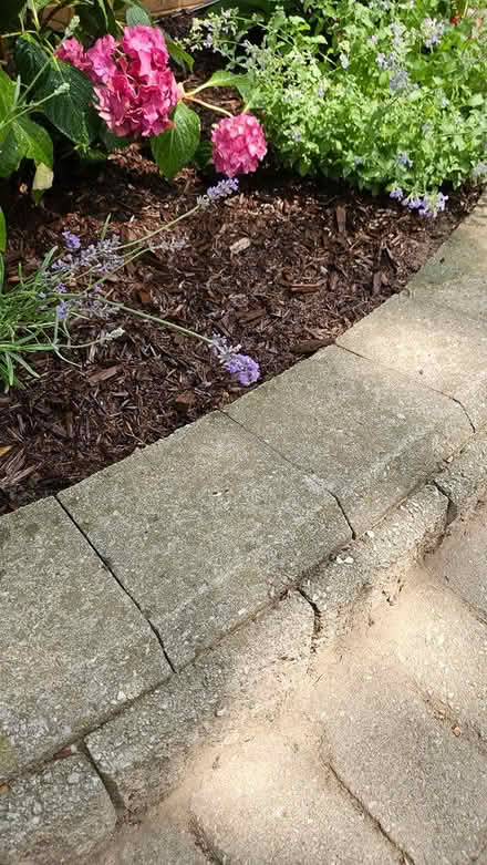 Photo of curved stones (clarkson lorne park area) #1