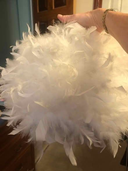 Photo of free Feather lampshade (Shephall SG2) #1