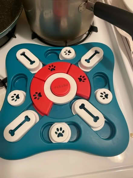 Photo of free dog items (Upper West Side) #2