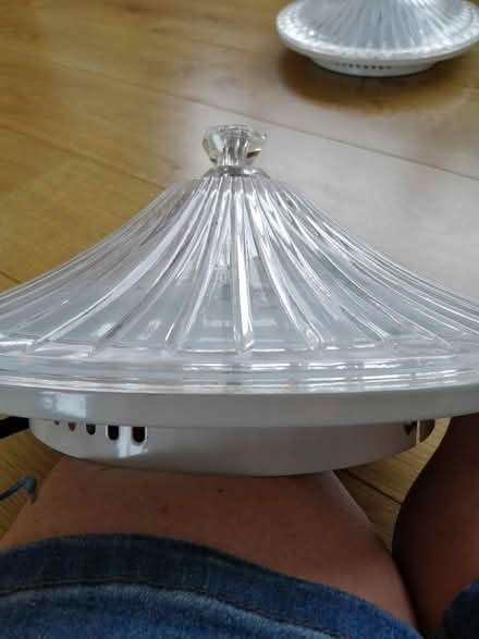 Photo of free Pair ceiling lights (Rainham Mark ME8) #3