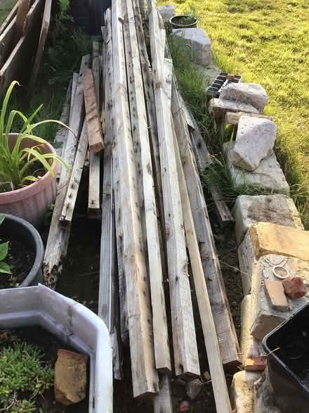 Photo of free Wood (North Walsham, NR28) #2