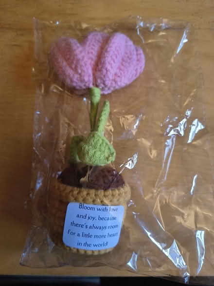 Photo of free Crochet flower (Freehold, Lancaster LA1) #1