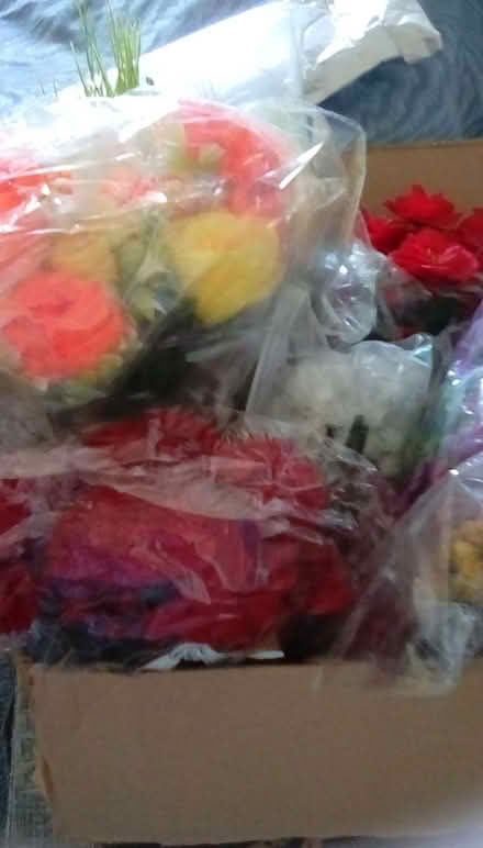 Photo of free Artificial flowers (Cosham PO6) #2