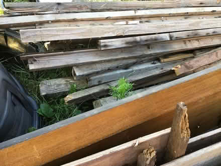 Photo of free Wood (North Walsham, NR28) #3