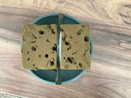 Photo of free Flower arranging oasis & bowl (Bohemia TN37) #2