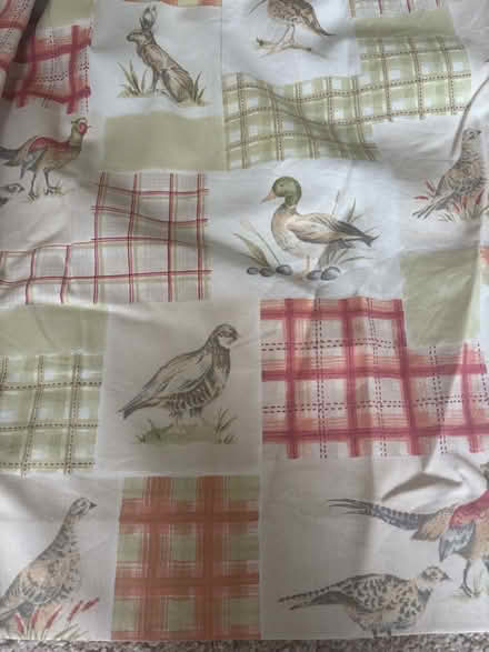 Photo of free Pair of lined curtains (Borrowash DE72) #2